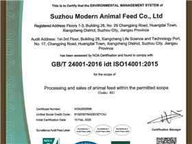 环境管理体系认证证书