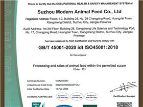 职业健康安全管理体系认证证书