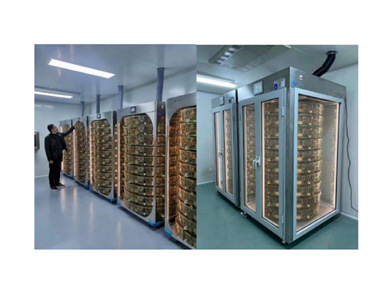 中央排气通风笼盒系统 /EVC